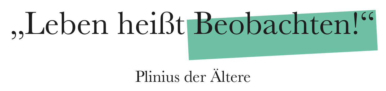 Buchgestaltung Titeldesign Coverdesign Satz- und Layout Buchgestaltung Titeldesign Coverdesign Satz- und Layout