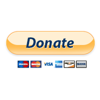 paypal donate icon 15