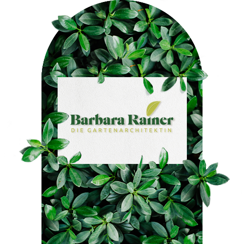 sabrinablumenthal grafikdesignerinBARBARA RAINER